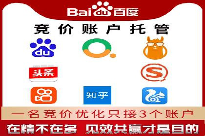 某sem代运营公司助力企业实现品牌升级